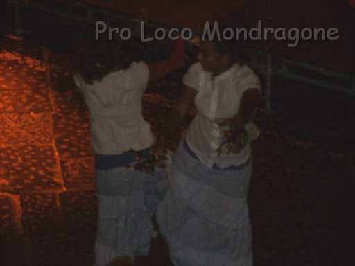 CaliciDiStelle2009 (13).jpg